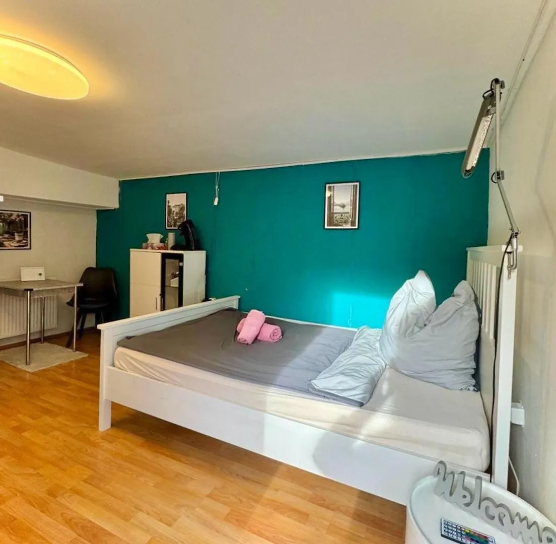 Apartment Mit Garten Heidelberg - Naehe Universitaetsklinikum Neuenheim